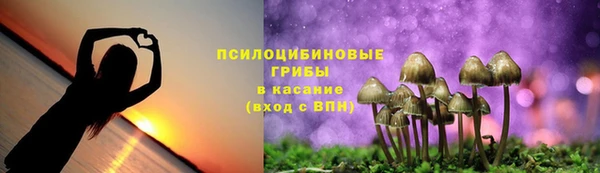 бошки Гусиноозёрск