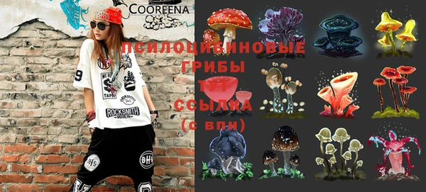 амф Сосновоборск