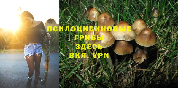 а пвп мука Гусев