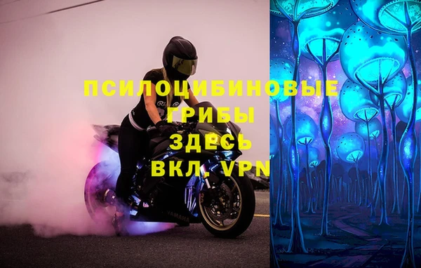 бошки Гусиноозёрск