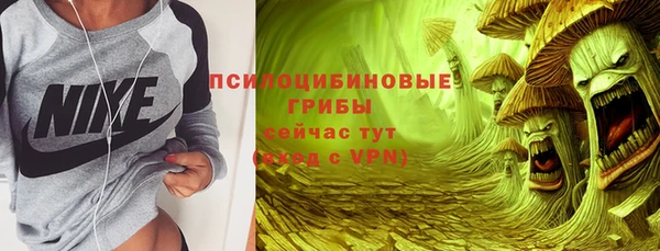 стаф Сосновый Бор