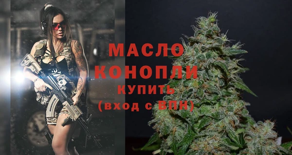 твердый Гусь-Хрустальный