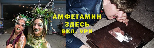 твердый Гусь-Хрустальный