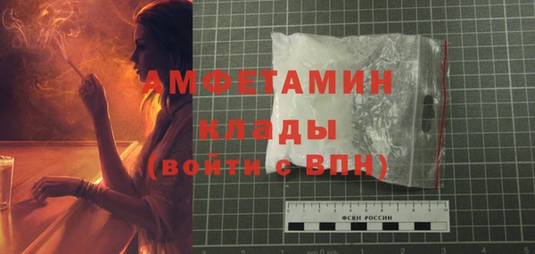 твердый Гусь-Хрустальный